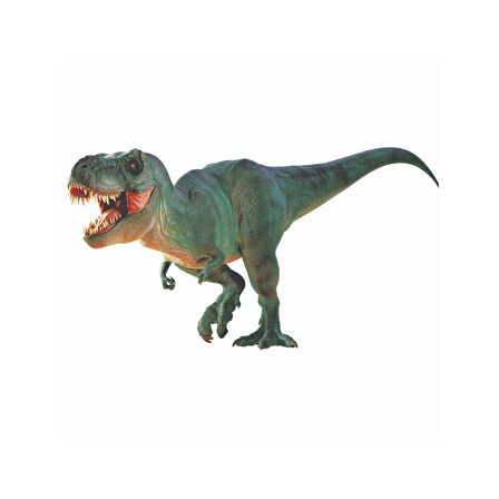 Nessiworld NAT06002 National Geographic Dino Kazı Kiti - RTNGDINO2 +8 yaş