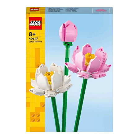 Lotus Çiçekleri 40647