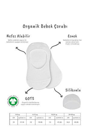 Bistyle 2'Li Penye Babet Silikonlu Basic Çorap 30104 Gri Beyaz