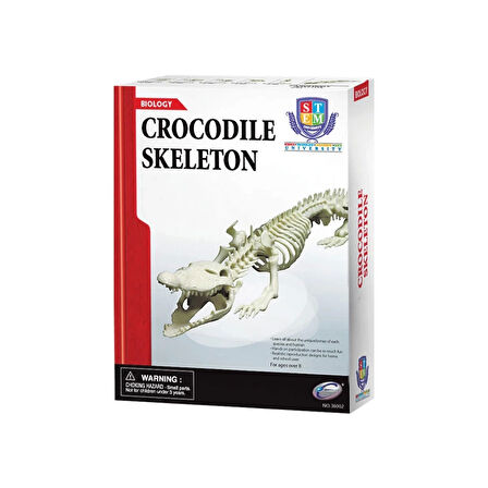 Timsah İskeleti Bilim Seti