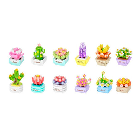 Saksı Çiçekleri Sukulent Serisi 3D Puzzle