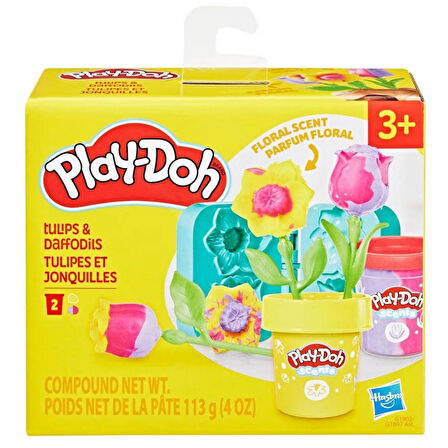 Play-Doh Minik Saksı Oyun Seti
