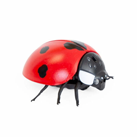 Oyuncak Işıklı Uğurböceği