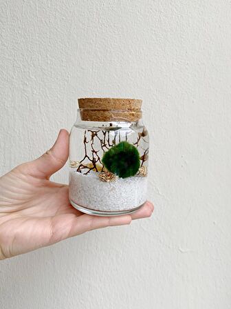 MARIMO TINY
