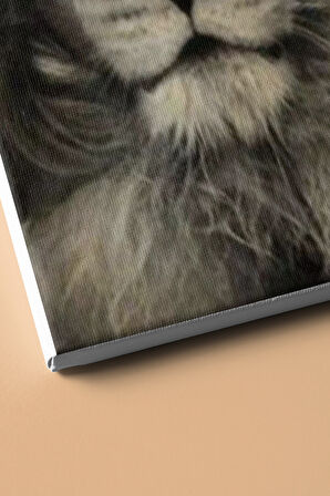 Sayılarla Boyama Seti Kasnaklı Vahşi Güzellik 2 60 X 75 Cm