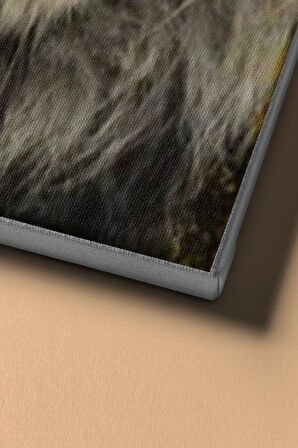 Sayılarla Boyama Seti Kasnaklı Vahşi Güzellik 2 60 X 75 Cm