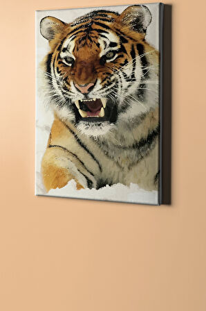 Sayılarla Boyama Seti Kasnaklı Karkaplanı 60 X 75 Cm