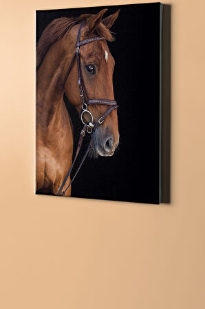 Sayılarla Boyama Seti Kasnaklı At Ve Asalet 40 X 50 Cm