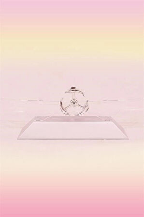 BUFFER® Dekoratif Masa Üstü Obje Manyetik Kinetik Orbital Dönen Yunuslar