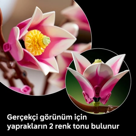 Ticaret Botanicals Manolya Dalları 11510 Najmaddin