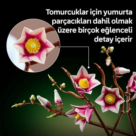 Ticaret Botanicals Manolya Dalları 11510 Najmaddin