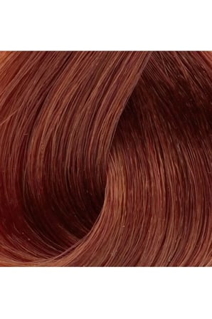 Tedar Premium 7.7 Kapuçino - Kalıcı Krem Saç Boyası 50 g Tüp Najmaddin