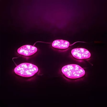 Sh Powermaster 12 Volt 3 Watt Pembe Yanıp Sönen 6565-2835 Modül Led Najmaddin