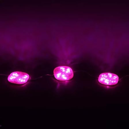 Sh Powermaster 12 Volt 3 Watt Pembe Yanıp Sönen 6565-2835 Modül Led Najmaddin