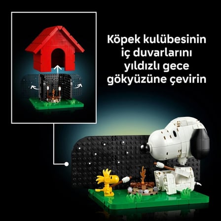 Ticaret Köpek Kulübesi 21368 Najmaddin
