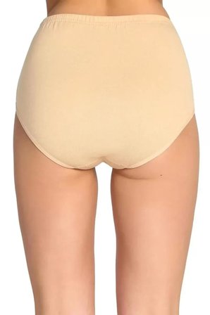 Beru 2 Adet Tutku Kadın Yüksek Bel Bato Kalın Lastik Külot Ten Najmaddin