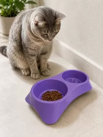 Sh İkili Model Beton Kedi Köpek Mama Ve Su Kabı (24cm × 12cm × 5cm) - Mor Najmaddin