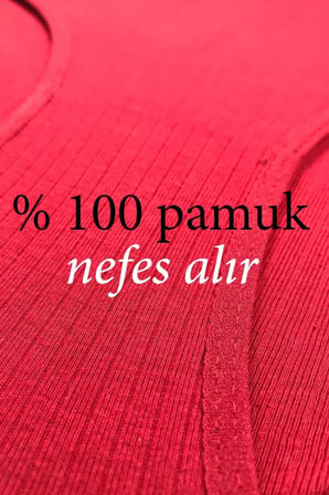 Tedar 4 Adet Kadın Yüksek Bel Ribana Bato Külot S102 Najmaddin