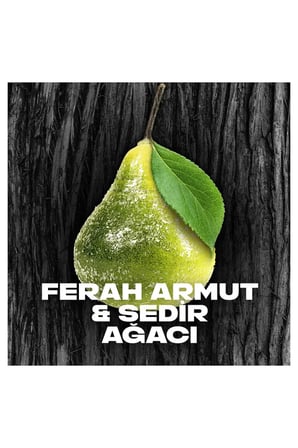 Tedar 2 Adet Axe Erkek Deodorant & Bodyspray Black 48 Saat Etkileyici Koku Vücut Spreyi 150 ml Najmaddin