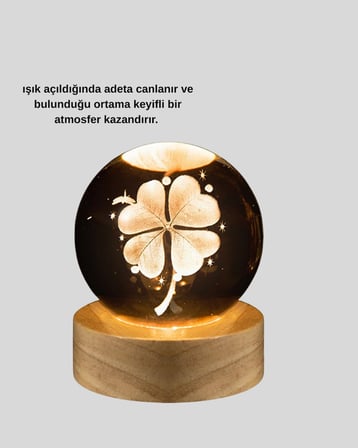 Karg Bitki Temalı Led Işıklı Cam Küre Ahşap Standlı Modern Gece Lambası Najmaddin