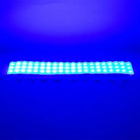 Sh Powermaster 12 Volt 1.5 Watt Mavi 2835 69 X 16 Mm Ip65 160 – 180 Lümen 160 Derece Modül Led Najmaddin