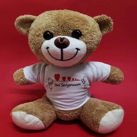 Seni Seviyorum Temalı Peluş Ayıcık Najmaddin
