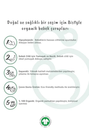 Mey Mey İthalat   5'li Penye Soket Kutulu Basic Çorap 10131 Ekru Najmaddin