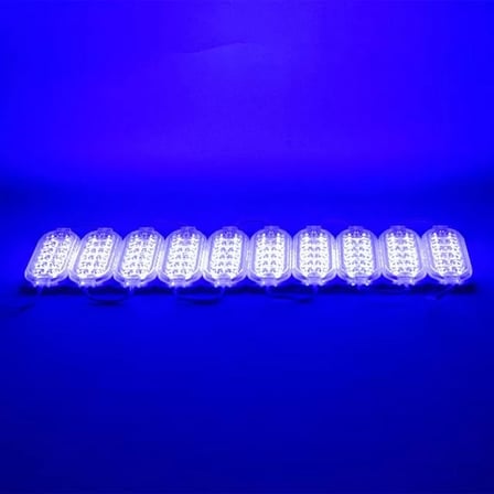 Sh Powermaster 24 Volt 2.4 Watt Tek Renk Mavi 2835 Modül Led Najmaddin