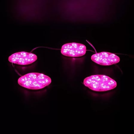 Sh Powermaster 12 Volt 3 Watt Pembe Sabit 6565-2835 Modül Led Najmaddin
