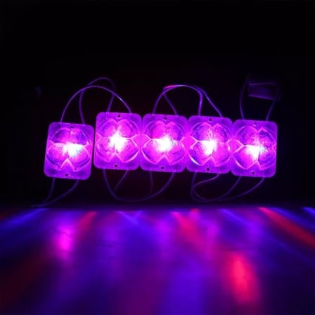 Sh Powermaster Pm-14717 12 Volt 2 Watt Karışık (r+b) Yanıp Sönen Çakar 4333-3030 Modül Led 43x33x28mm Najmaddin
