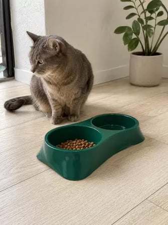 Sh İkili Model Beton Kedi Köpek Mama Ve Su Kabı (24cm × 12cm × 5cm) - Yeşil Najmaddin