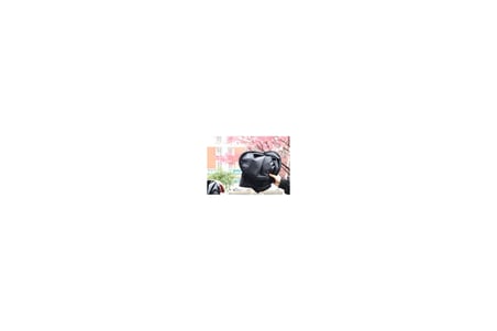 Ticaret Katlanabilir Araç Ön Cam Güneşliği 150x70 cm Najmaddin