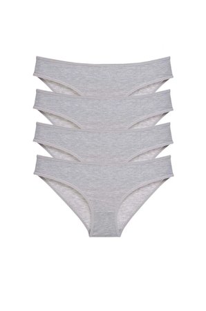 Tedar 4 adet Süper Eko Set Likralı Kadın Slip Külot Gri Najmaddin