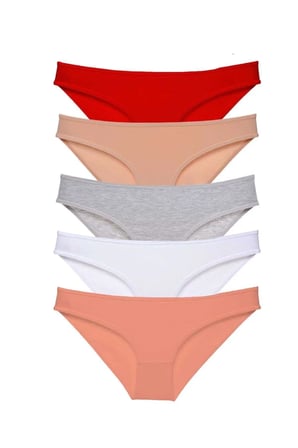 Tedar 5 adet Süper Eko Set Likralı Kadın Slip Külot 523 Najmaddin