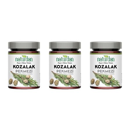 Naturdan Kozalak Pekmezi 400 gr 3 Adet