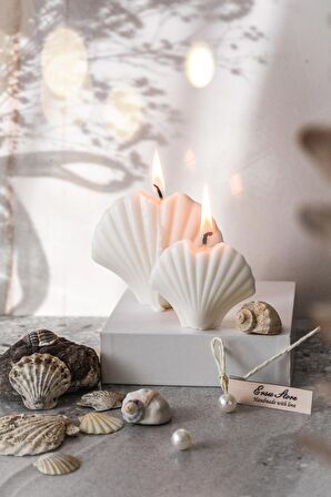 Özel Yapım 2'li Soya Wax %100 Doğal Istiridye Mum