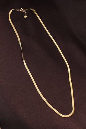 Nevamel® 316L Çelik Altın Renk 60 cm İtalyan Zincir Kolye 5886