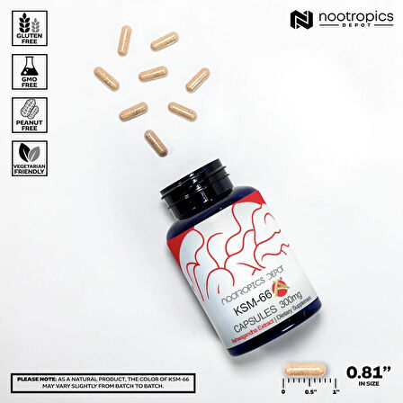 Nootropics Depot KSM66 Ashwagandha Capsules | 300mg | 90 Count -Bilişsel Destek