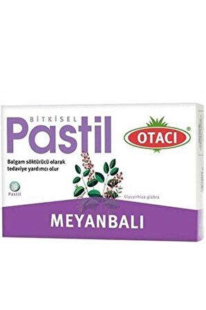 Otacı Bıtkısel Meyanbalı 16 Pastıl