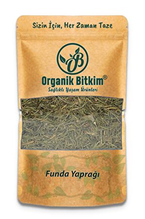 Funda Yaprağı 150 gr