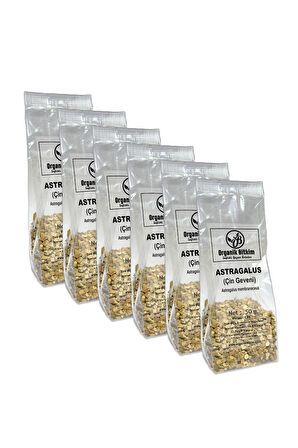 Organik Bitkim Astragalus (Çin Geveni) 50 gr x 6 Adet