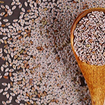 Karnıyarık Tohumu 100 gr