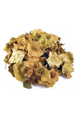 Karaçalı Otu 1000 gr