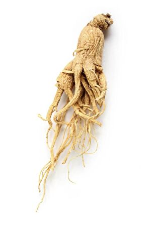 Kırmızı Ginseng (Adam Otu) Toz 100 gr