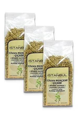 Civan Perçemi (Kandil Çiçeği) 3x50 gr