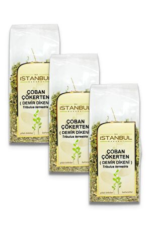 Çoban Çökerten (Demir Dikeni) 3x70 gr
