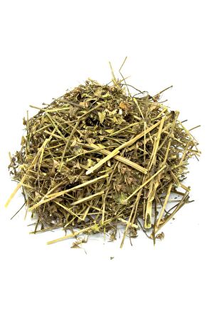 Çoban Çökerten (Demir Dikeni) 3x70 gr