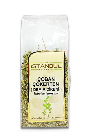 Çoban Çökerten (Demir Dikeni) 6x70 gr
