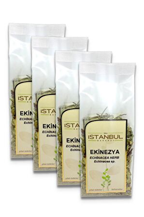Ekinezya (Kirpi Otu) 4x40 gr