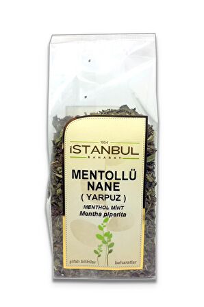 Mentollü Nane (Yarpuz) 40 gr x 2 Adet